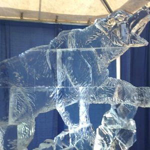 Meet your Posher, Alfrieda